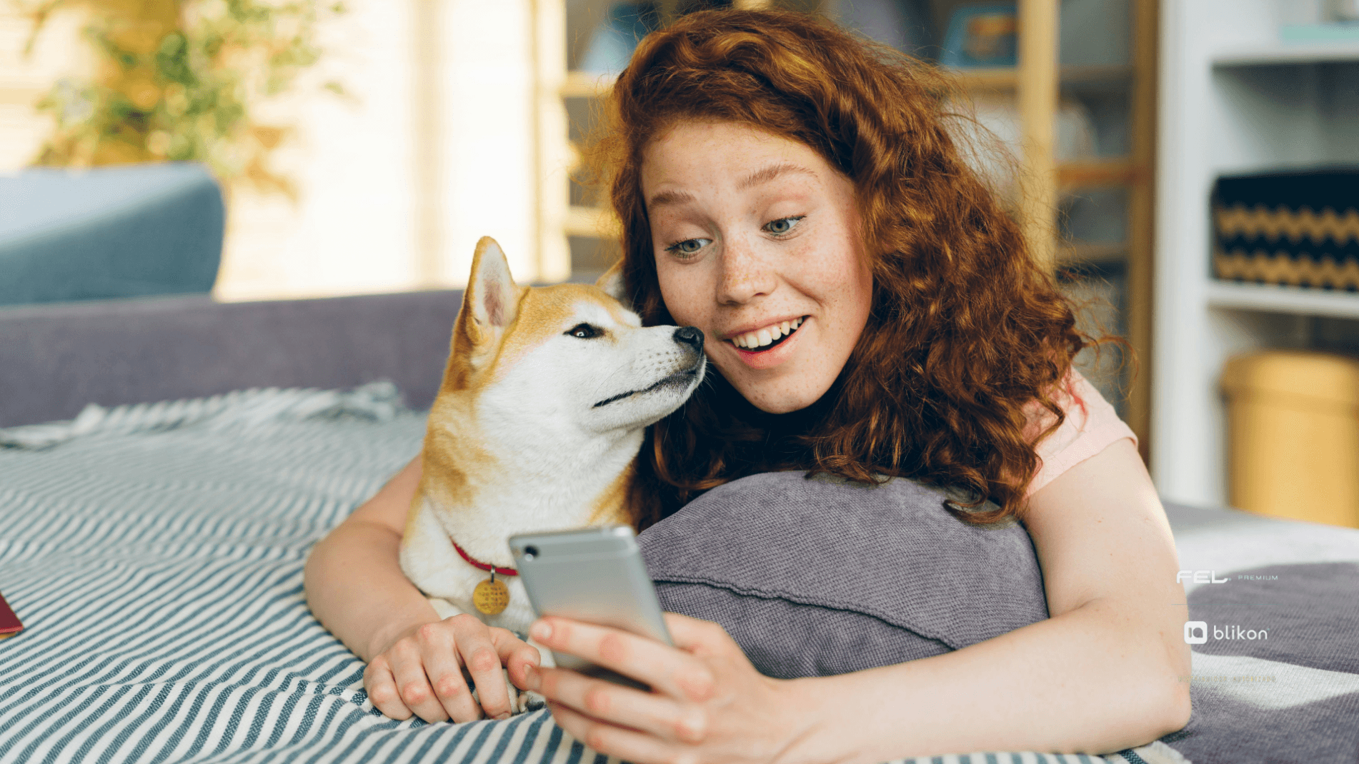 ¡Cancelar Factura, conoce los cambios!