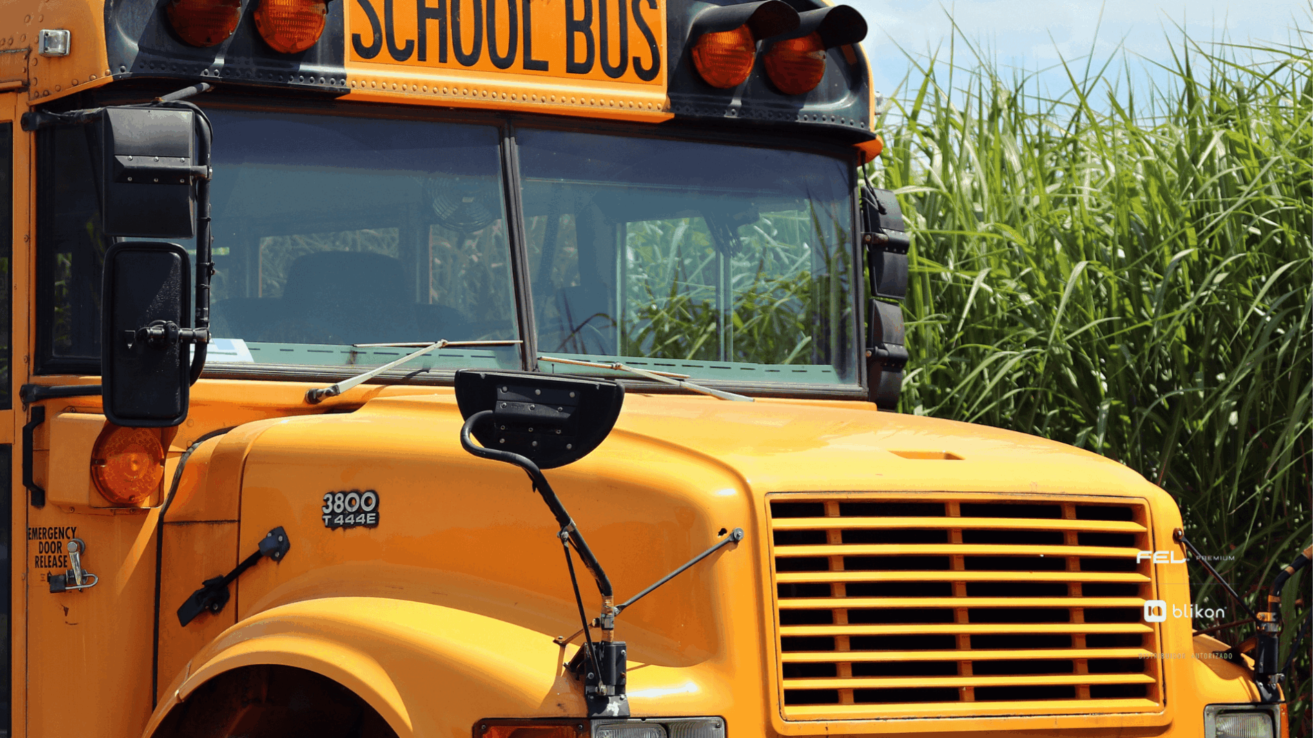 SAT 2025: Guía para deducir colegiaturas y transporte escolar